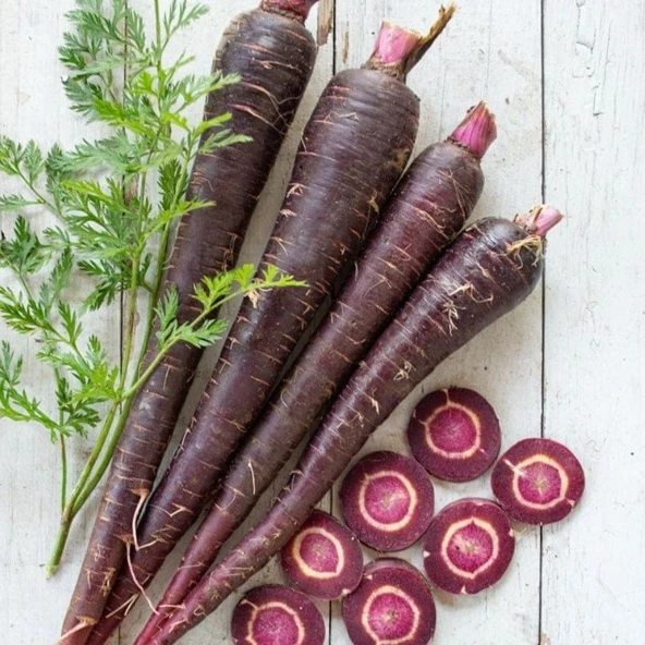 Ata Tohumları Geleneksel Siyah Mor Havuç Tohumu (300 TOHUM) ürün görseli