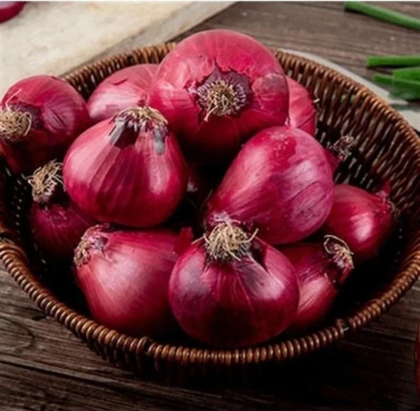 Ata Tohumları Geleneksel Yüksek Aromalı Ata 19 Kırmızı Çorum Tipi Soğan Tohumu(50 Tohum)