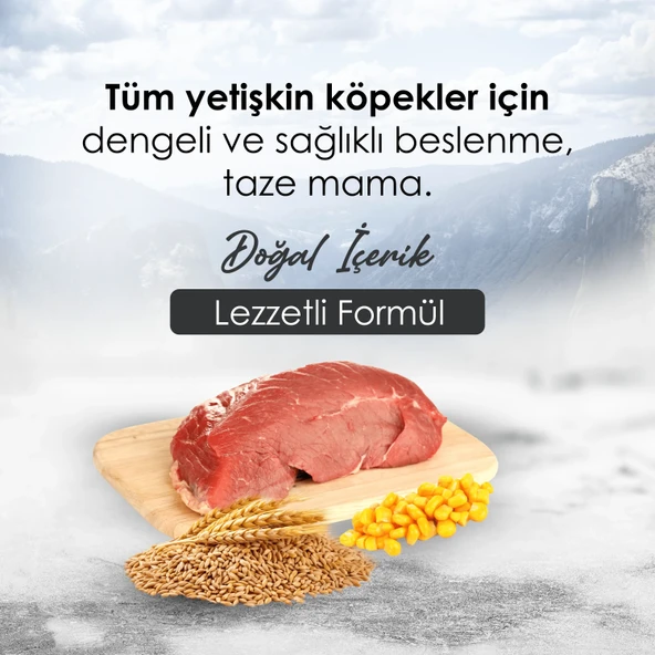 Gofrette Biftekli Yetişkin Köpek Maması 15 Kg - 2