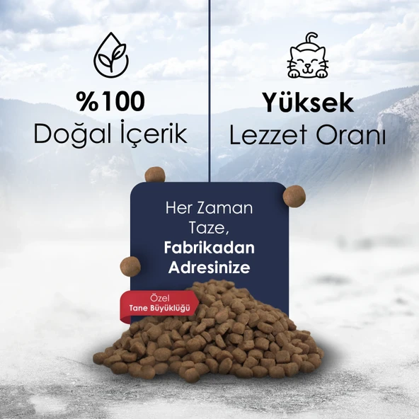 Gofrette Tavuklu Yetişkin Kedi Maması 10 Kg - 3