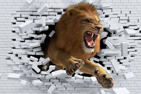 3 Boyutlu Aslan Temalı Duvar Kağıdı - Resim 7