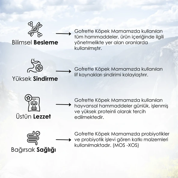 Gofrette Biftekli Yetişkin Köpek Maması 15 Kg - 5