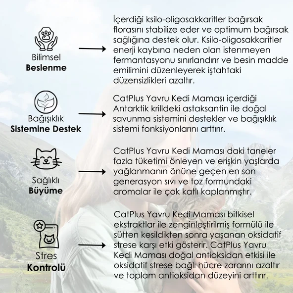 CatPlus Tavuklu Hamsili Yavru Kedi Maması 1,5 Kg - 5