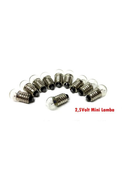 Mini Ampül, Deney Setleri Için, 2,5 V 10 Adet