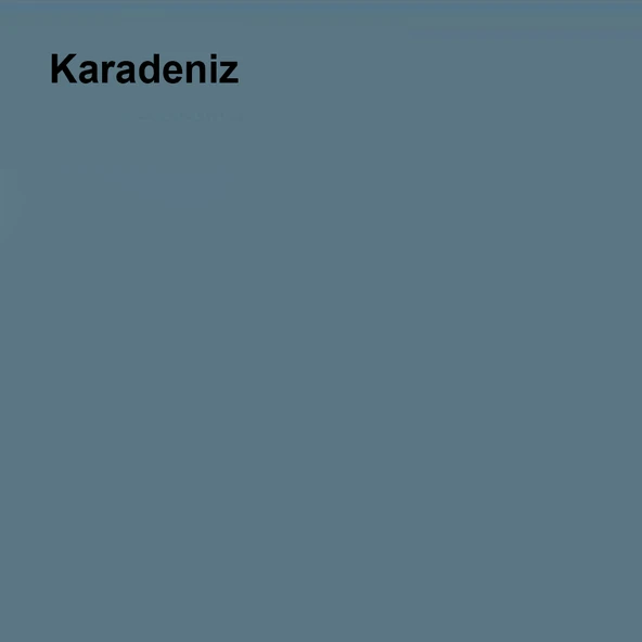 Marshall Silikonlu Özel Mat Karadeniz 0,75lt (1 Kg) - 2