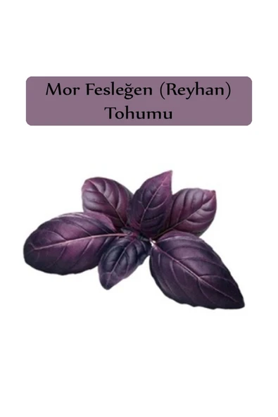 Reyhan Tohumu 1 Paket (3gr=100+ Adet) Mor Reyhan Tohumu Mor Fesleğen Tohumu - 2