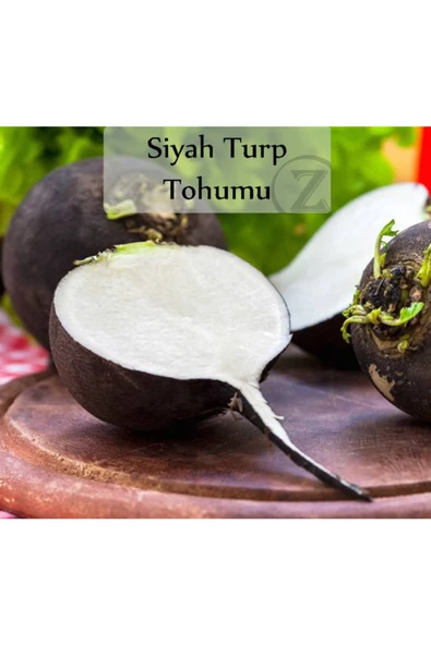 Siyah Turp Tohumu 1 Paket (10gr=1000+ Adet) Turp Tohumu Siyah ürün görseli