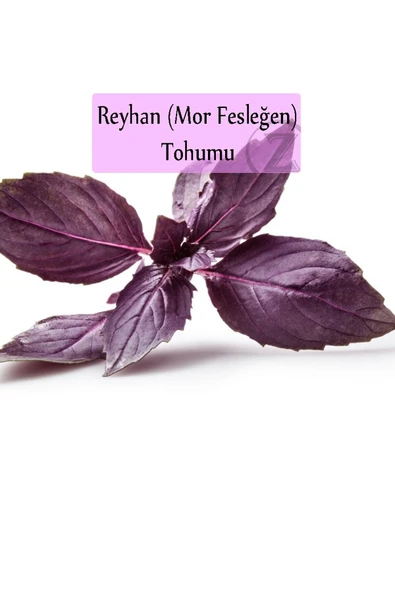 Reyhan Tohumu 1 Paket (3gr=100+ Adet) Mor Reyhan Tohumu Mor Fesleğen Tohumu - 3