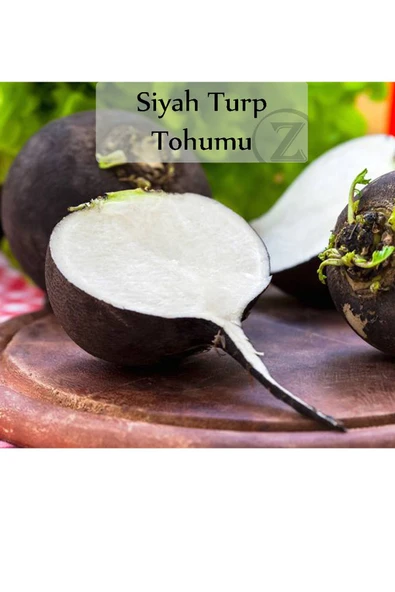 Siyah Turp Tohumu 1 Paket (10gr=1000+ Adet) Turp Tohumu Siyah - Resim 2