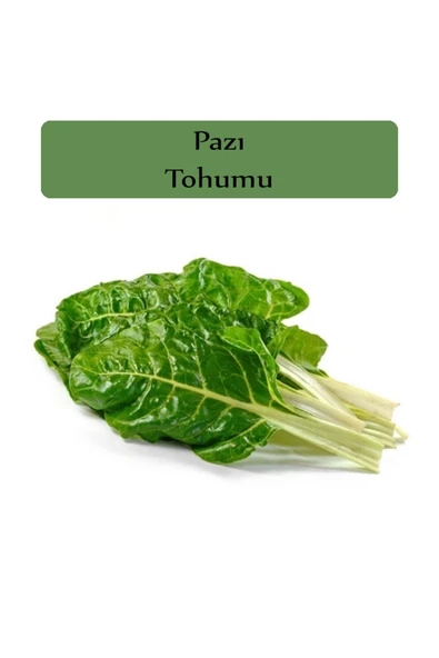 Pazı Tohumu 1 Paket (10gr=1000+ Adet) - 2