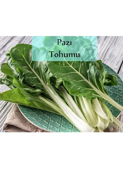 Pazı Tohumu 1 Paket (10gr=1000+ Adet)