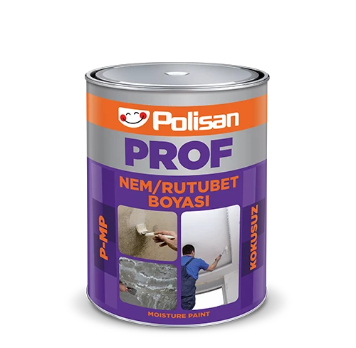 Polisan Prof P-MP Nem/Rutubet Boyası 1kg
