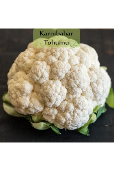 Karnıbahar Tohumu 1 Paket (3gr=1000+ Adet) Karnabahar Tohumu - Resim 2