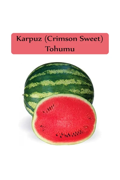 Karpuz Tohumu 1 Paket Crimson Sweet Karpuz Tohumu Ekmeye Uygun Verimi Yüksek Paket Tohum - 4