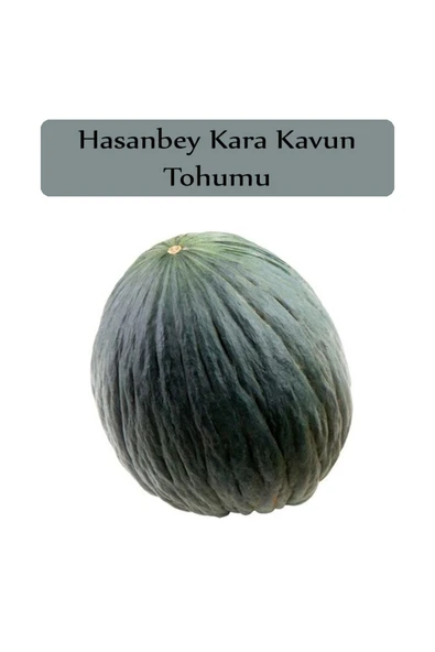 Hasanbey Kavun Tohumu 1 Paket (10gr=300+ Adet) Kara Kavun Tohumu - 2