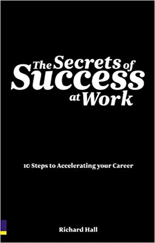 The Secrets of Success at Work ürün görseli