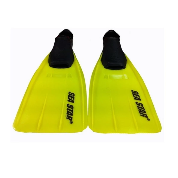 29/31 SEA STAR PALET - V14P.020