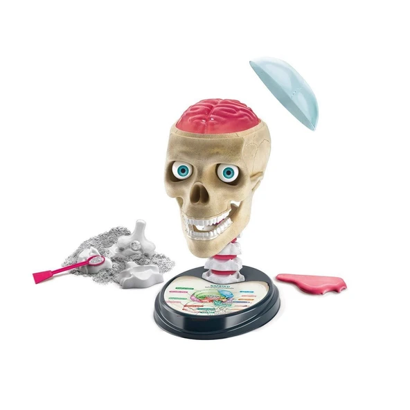 64322 Çılgın Anatomi - Bilim ve Oyun / +7 yaş - 2