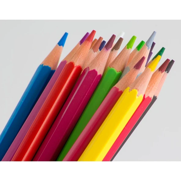 Alpino Uzun Kuru Boya 12 Renk AL-10654 - 3
