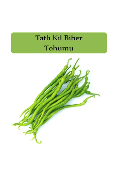 Tatlı Kıl Biber Tohumu 1 Paket (5 Gr=700+ Adet) Tatlı Biber Tohumu - Resim 2