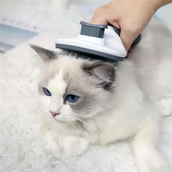 Kedi Köpek Tüy Toplayıcı Kendini Temizleyebilen Ergonomik Rahat Evcil Hayvan Tarağı Gri - 4