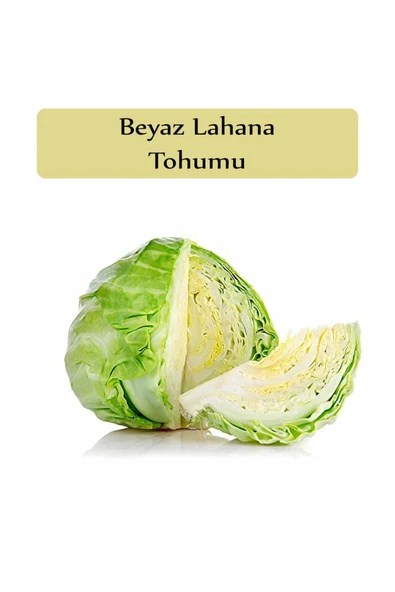 Beyaz Lahana Tohumu 1 Paket Lahana Tohumu Yalova 1 Kapalı Paket Verimli Tohum - Resim 2