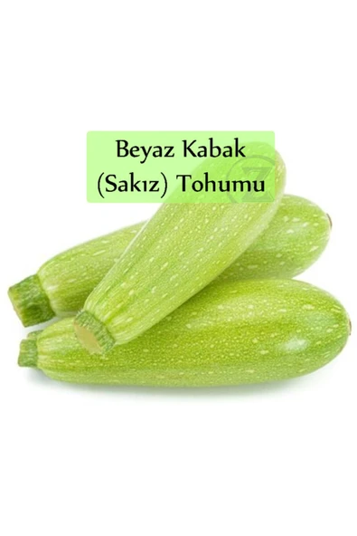 Beyaz Kabak Tohumu 1 Paket (10gr=100+ Adet) Sakız Kabak Tohumu ürün görseli