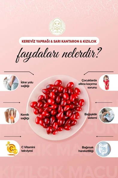 Zühre Ana Kızılcık Macunu Kereviz Yaprağı ve Sarı Kantaron 240 Gr - 4