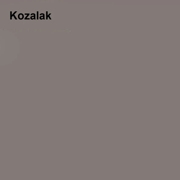 Marshall Silikonlu Özel Mat Kozalak 7,5lt (10 Kg) - 2