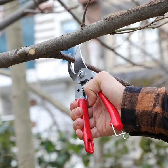 Rtrmax RH-05808 Bağ Budama Makası - 2