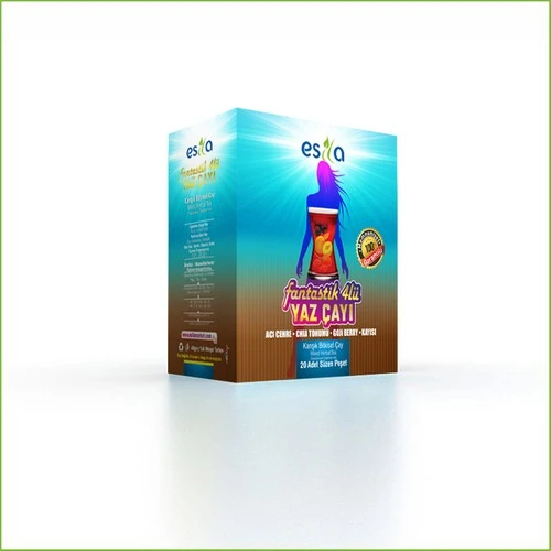 Esila Fantastik Dörtlü Yaz Çayı 20 Süzen Poşet