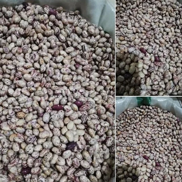 Ata Tohumu Anadolu Artvin Kara Sırık Barbunya Tohumu (10 tohum)