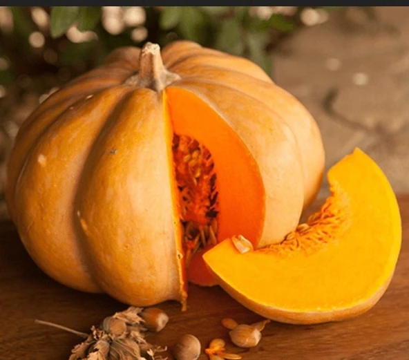 Geleneksel Anadolu Tatlılık Reçellik Balkabağı Tohumu (10 tohum) ürün görseli 1