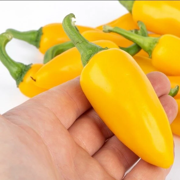 Jalepeno Yellow Çok Acı Biber Tohumu (15 Tohum)