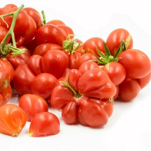 Nadir Kırmızı Voyego Domates Tohumu (15 tohum) ürün görseli 1