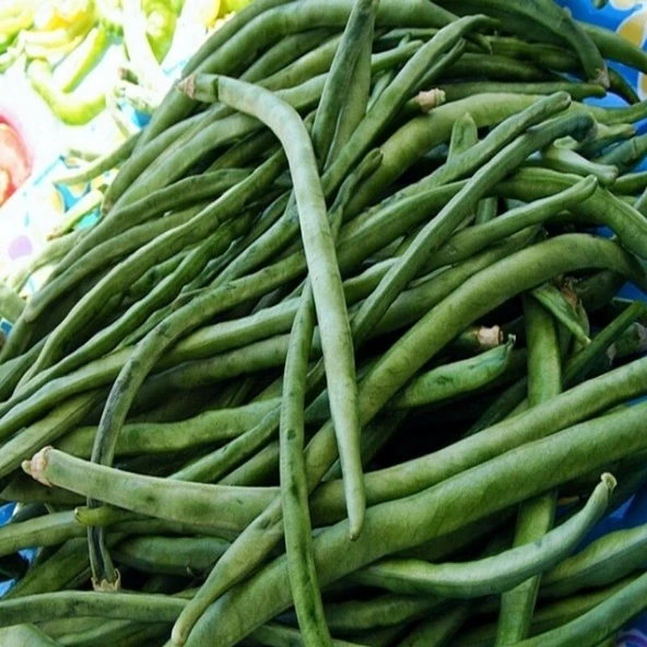 Sırık Karnıkara Börülce Tohumu (1 kg) ürün görseli