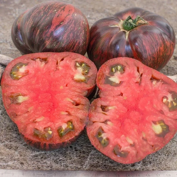 Marshas Starfighter Beefsteak Domates Tohumu (15 tohum) ürün görseli 1