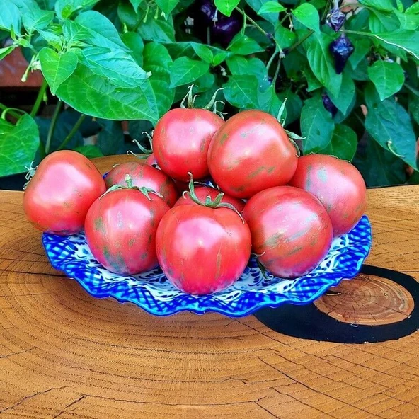 Vernissage Pink Etli Pembe Domates Tohumu (15 tohum)