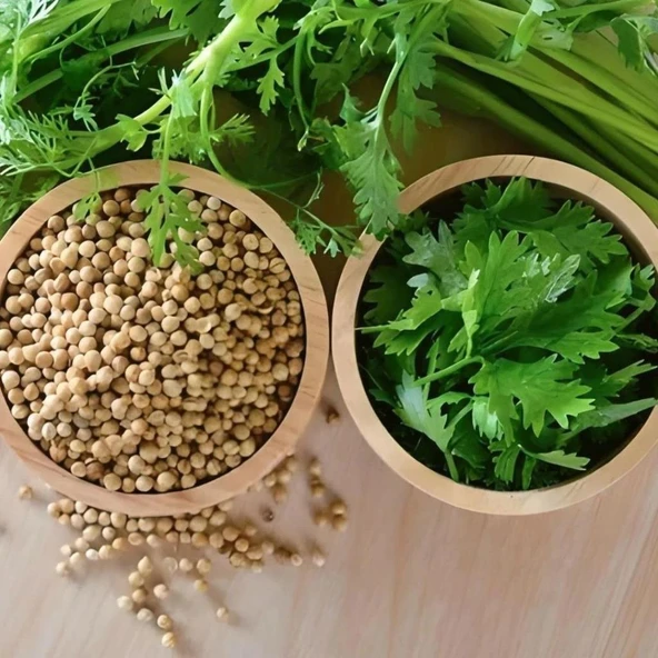 iş Yaprak Doğal Aşotu Kişniş Tohumu (1 kg)