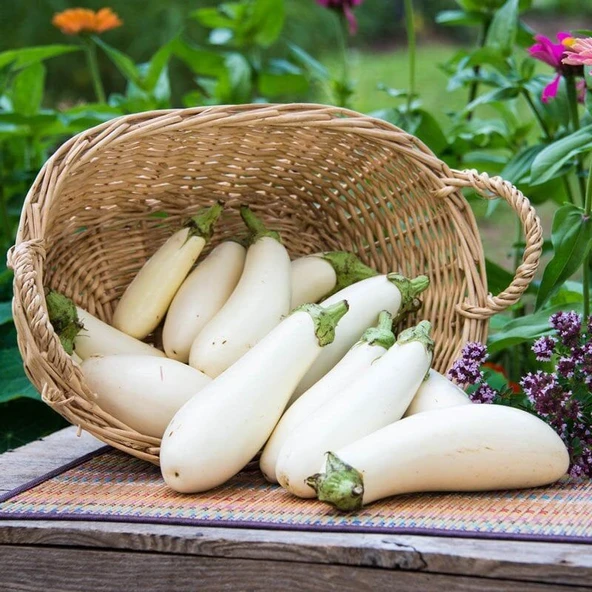 Casper Long Beyaz Etli Patlıcan Tohumu (15 tohum)