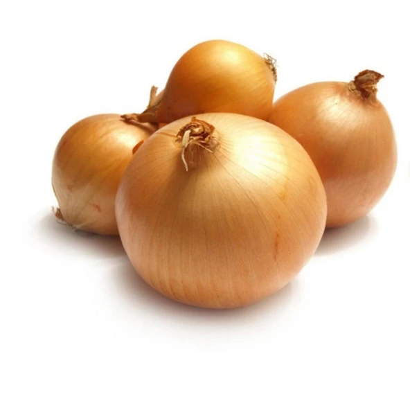 Geleneksel Ata Tohum Bankon Soğan Tohumu(50 Tohum) ürün görseli 1