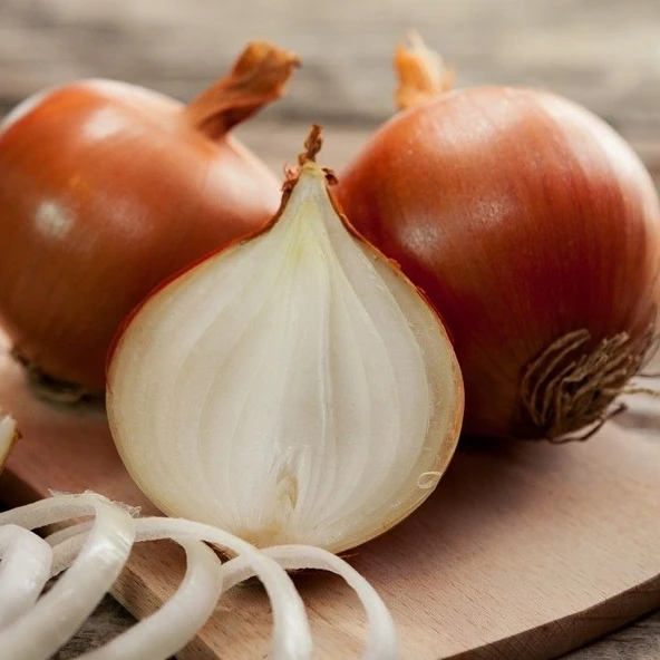 Ata Tohum Geleneksel Akpınar Orta Erkenci Soğan Tohumu(50 Tohum) ürün görseli 1