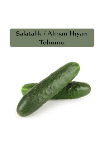 Alman Hıyarı Tohumu 1 Paket Dikenli Alman Salatalık Tohumu Kapalı Paket Tohum Salatalık - 2