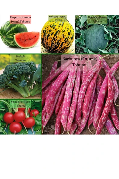 6 Paket Tohum No5 Kırkağaç Kavunu Tohumu Kara Kavun Tohumu Barbunya Tohumu Brokoli Tohumu ...