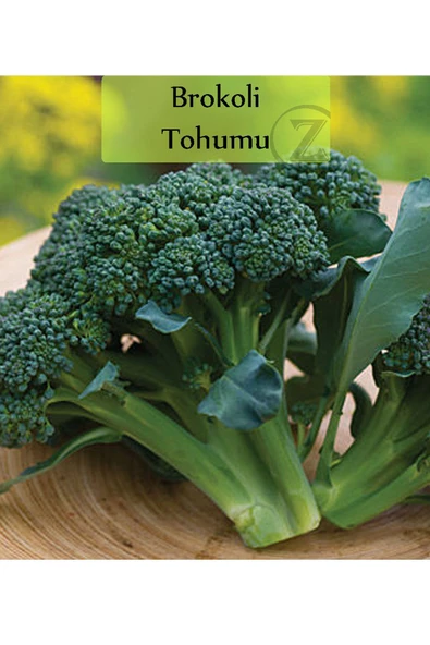 6 Paket Tohum No5 Kırkağaç Kavunu Tohumu Kara Kavun Tohumu Barbunya Tohumu Brokoli Tohumu ... - 3