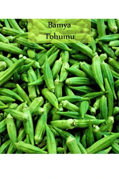 6 Paket Tohum No6 Yeşillik Ot Tohumları Bamya Tohumu Yeşil Fesleğen Tohumu Mor Reyhan Tohumu ... - 2