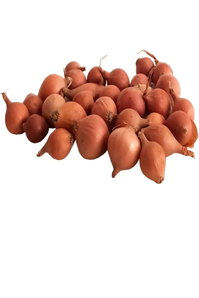 6 Paket Tohum No7 Iska Soğan Tohumu Arpacık Soğan Çeri Domates Frenk Maydanoz Salatalık Biber Tohumu - 2