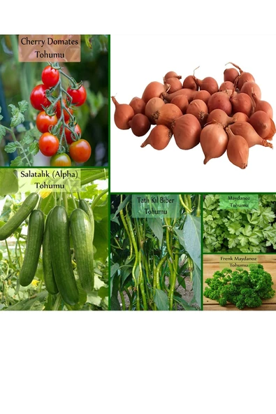 6 Paket Tohum No7 Iska Soğan Tohumu Arpacık Soğan Çeri Domates Frenk Maydanoz Salatalık Biber Tohumu - 1