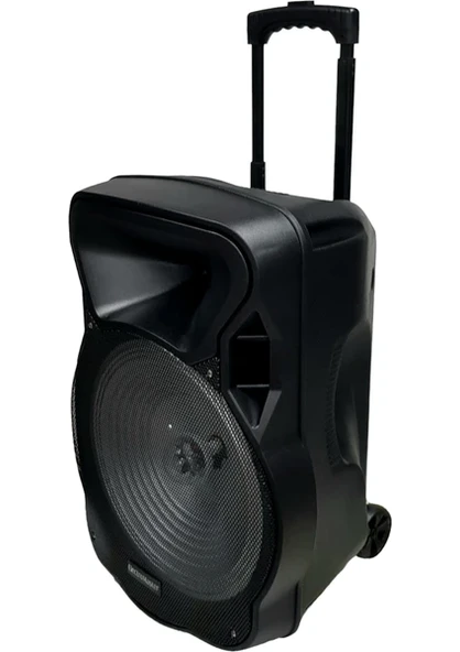 ElectroMaster ES-3030 150W Ses Sistemi - 2