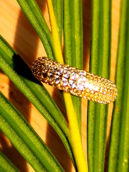 Monalisa Home Lüks Çelik Gold Renk Kıkırdak Küpe ürün görseli 1